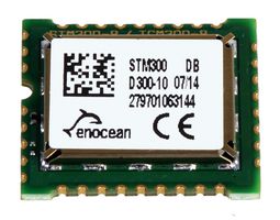 STM 300
