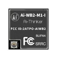 AI-WB2-M1-I