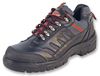 JSP ACS041-041-100