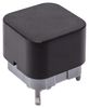 E-SWITCH PB300DTQ