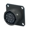AMPHENOL LTD 62GB-12E16-08SN