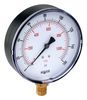 NOSHOK 15-100-300-PSI/BAR