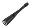 TAOGLAS FW.79.SMA.A