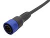 BULGIN LIMITED PXP4000/002/04P