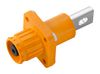 WEIDMULLER 2905320000