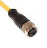 MUELLER ELECTRIC C5C06M008