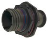 FILCONN FCIBD38999/24WA98PN