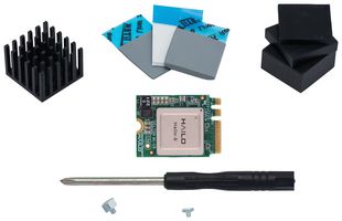 HAILO TECHNOLOGIES LTD HM218B1C2YAE Hailo 8 AI Starter Kit, M.2 Key A+E 2230, PCIe Gen3x2, 2.5W, 26 TOPS,-40 °C to 85 °C