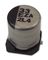 PANASONIC EEHZE1H101P