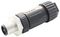 AMPHENOL LTW M12T-04BMMB-SL7002
