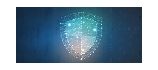 Security solutions from microchip