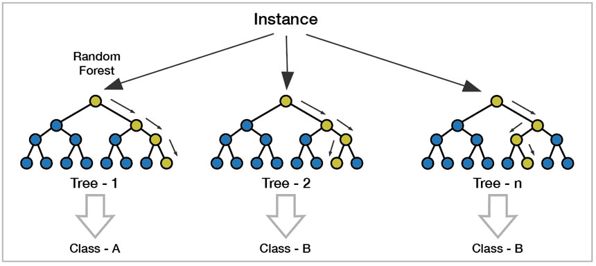 Decision trees from the training data