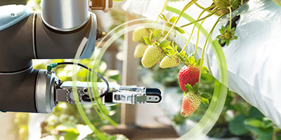 Sensor technology
